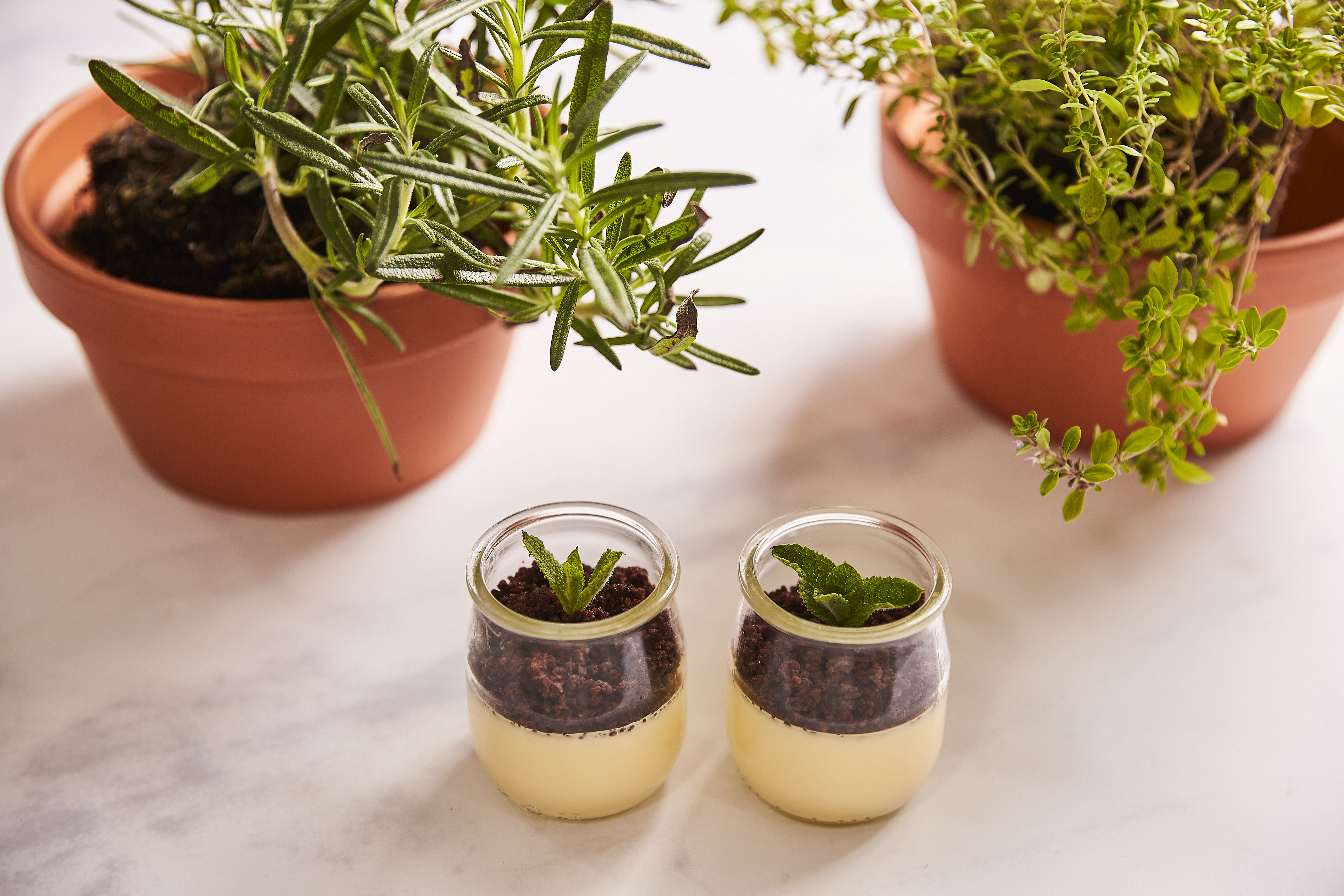 220721 Chartwells28847